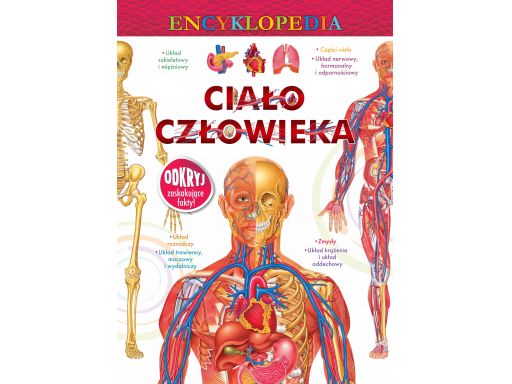 Encyklopedia ciało człowieka 224 str duża kolorowa