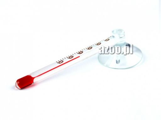 Azoo palm thermometer - nano termometr - 6 cm
