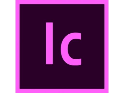 Adobe incopy cc 2020 pl win/mac