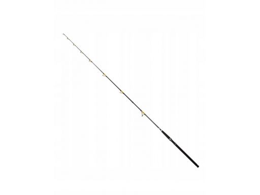 Wędka cat fish passion pro 270, 300-600g na okazy