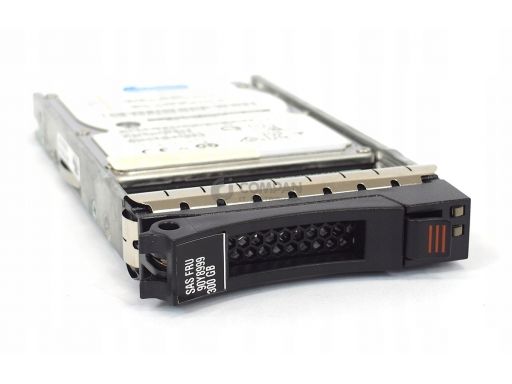 Ibm 300gb 10k 6g sas 2.5 sff for ds3524 90y8999