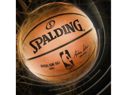 Spalding saszetka na ramię z logo przegródki 25x15