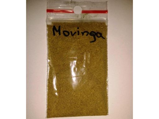 Moringa - uzupełniający pokarm - proszek