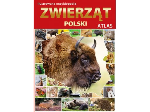Atlas zwierząt polski duży album 800 zdjęć 2015 ok