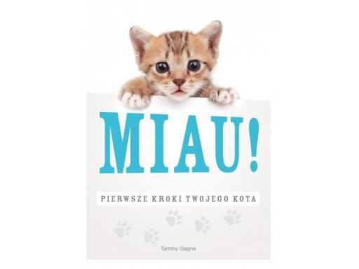 Miau! pierwsze kroki twojego kota język kotów nowa