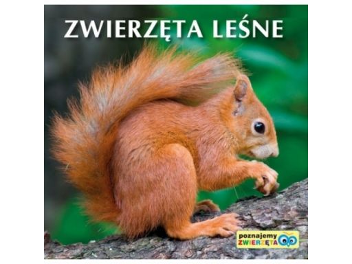 Poznajemy zwierzęta zestaw 14książek dla maluszków