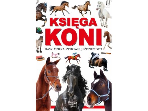 Mój kot encyklopedia dla dzieci niezbędny poradnik