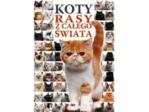 Koty rasy z całego świata opis zwierząt nowość2016