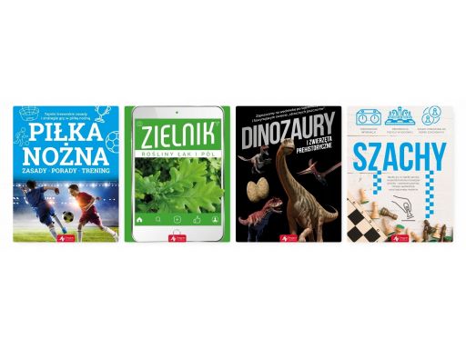 Koty najpiękniejsze rasy nagrody szkoła przedszkol