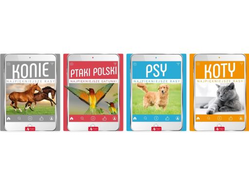 Koty najpiękniejsze rasy nagrody szkoła przedszkol