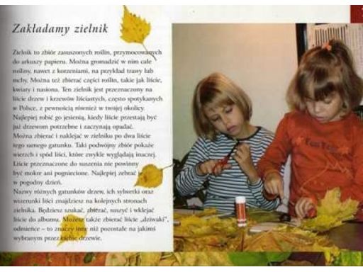 Zielnik 7 różnych do wyboru drzewa kwiaty zioła ok