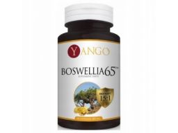 Yango boswellia 65tm 300mg 60 tabl. kadzidłowiec