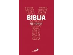 Biblia młodych youcat edycja św.pawła