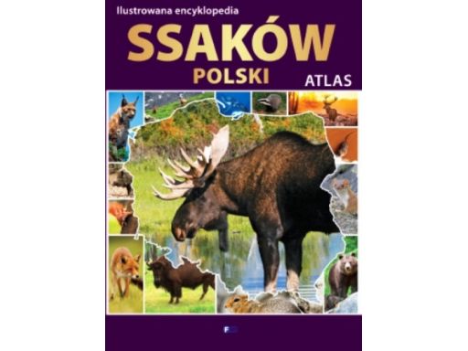 Ilustrowana encyklopedia ssaków polski 106gatunków