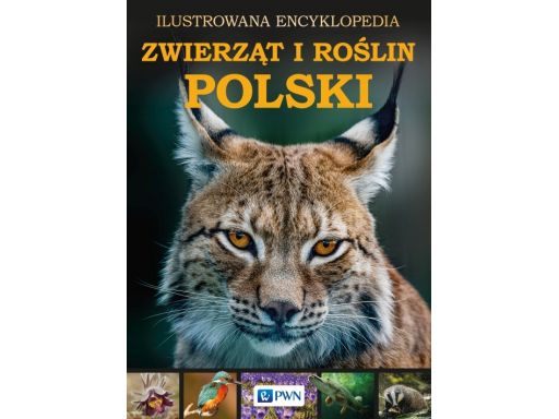 Ilustrowana encyklopedia roślin i zwierząt polski#