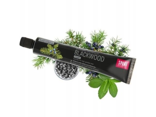 Splat pasta do zębów 75ml blackwood special