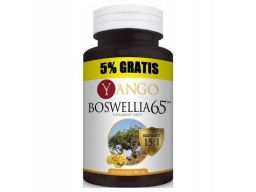 Yango boswellia 65tm 300 mg 120 tabl. kadzidłowiec