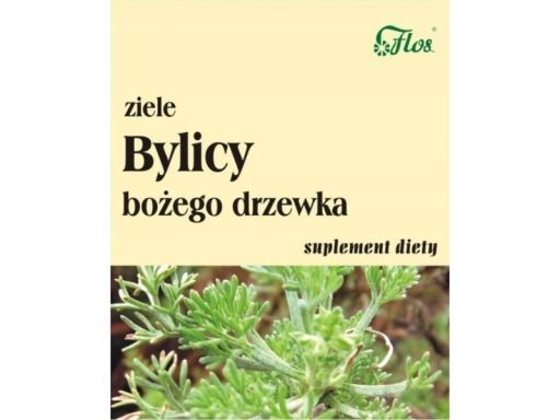 Flos bylica bożego drzewka 50g