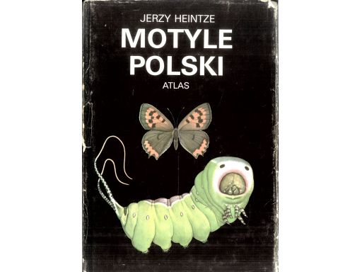 Heintze - motyle polski m1