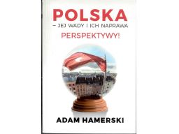 Hamerski polska jej wady i ich naprawa s11