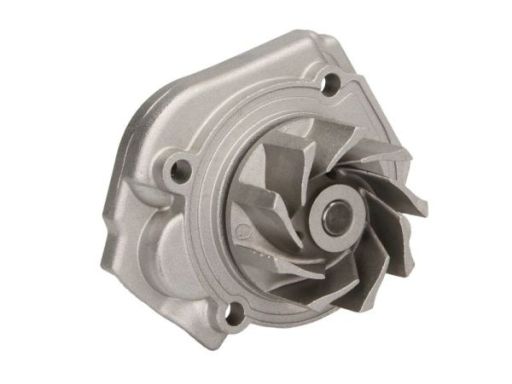 D1F076Tt Pompa Cieczy Chłodzącej Thermotec