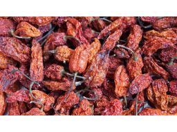 Papryka chilli naga jolokia - 100g