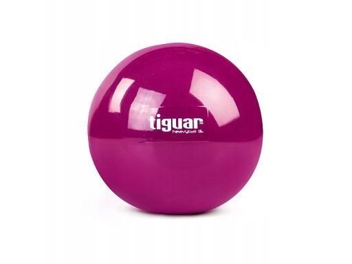 Tiguar piłka heavyball 1,0 kg - śliwka