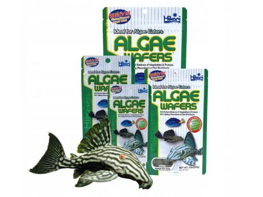 Hikari algae wafers 40g dla glonojadów