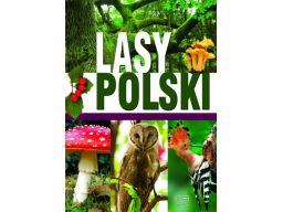 Lasy polski przyroda geografia encyklopedia dzieci