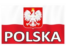 Naklejki kibica auto flaga polski polska 50x30cm