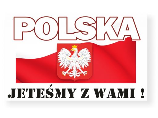 Naklejki kibica na auto flaga polski polska herb