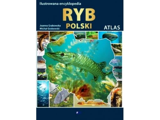 Ilustrowana encyklopedia ryb polski 100 gatunków